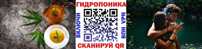 kraken ТОР  Лермонтов  Еда ТГК конопля  где купить наркоту 
