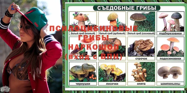 СК Алексин