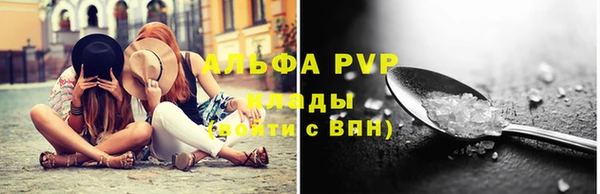 СК Алексин