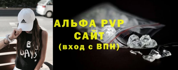 СК Алексин