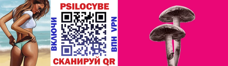 MEGA зеркало  Лермонтов  Псилоцибиновые грибы мицелий  купить наркотик 